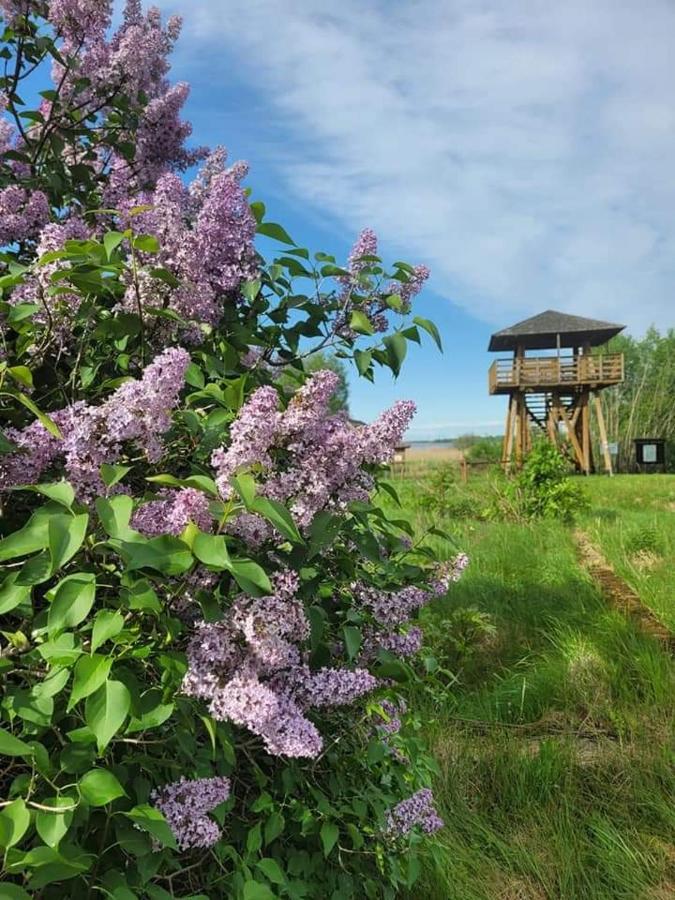 Willa Agroturystyka Ruta nad zalewem Siemianówka Luka Zewnętrze zdjęcie